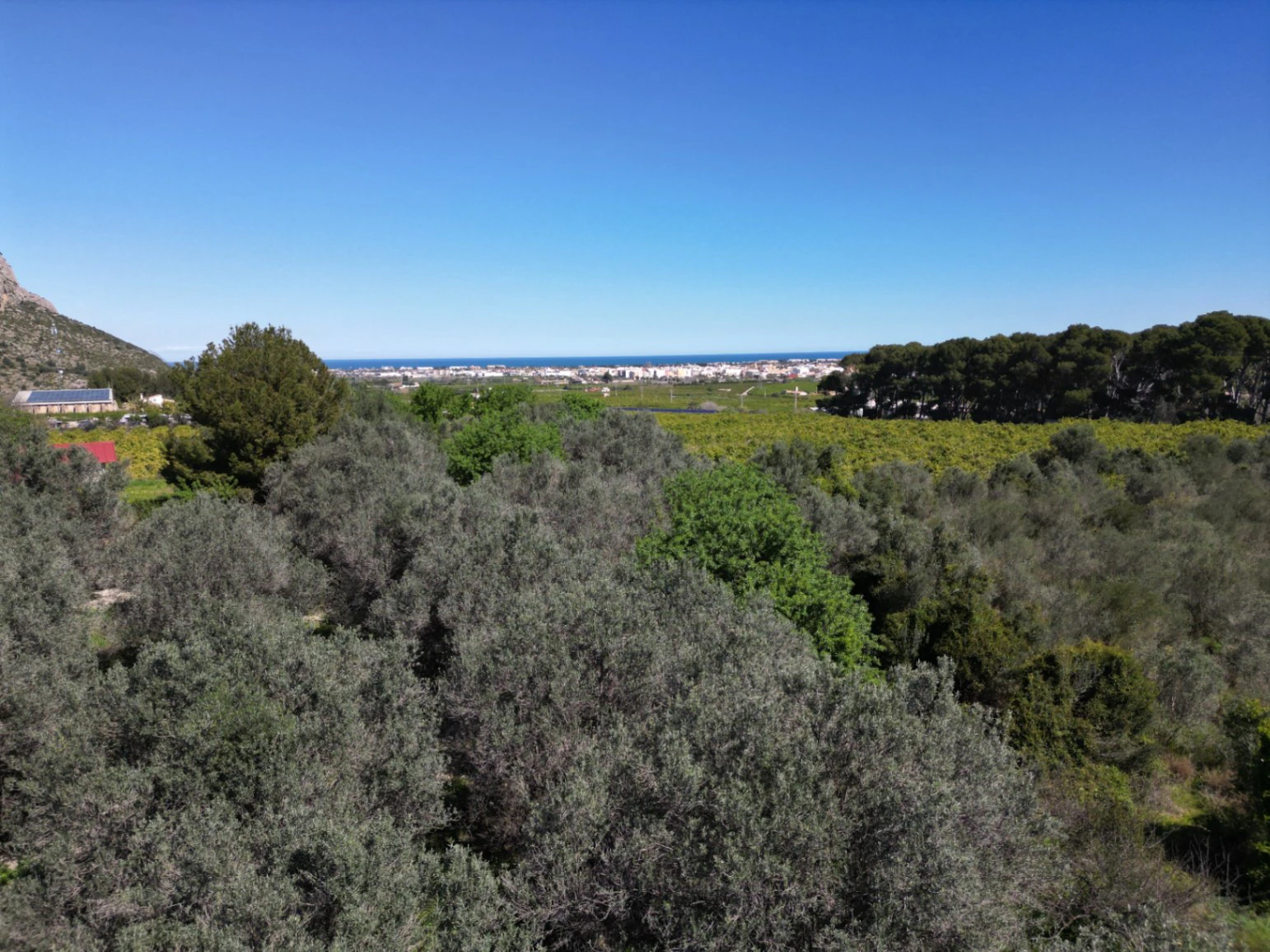 Terrain à vendre dans la forêt d’orangers à Benidoleig - avec un potentiel de construction et une vue imprenable