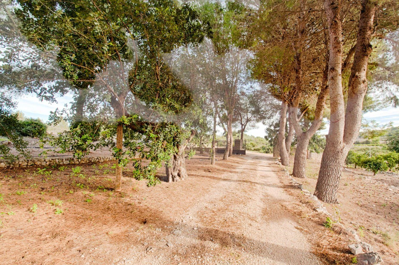 FINCA IN DER RUHE VON GATA DE GORGOS