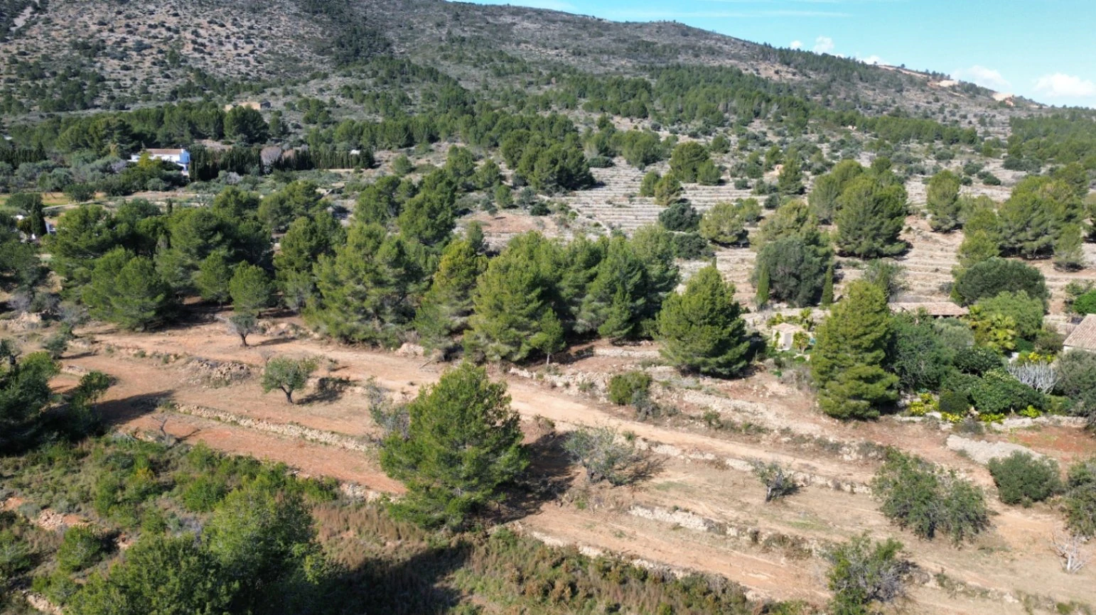 Huge land in Benissa