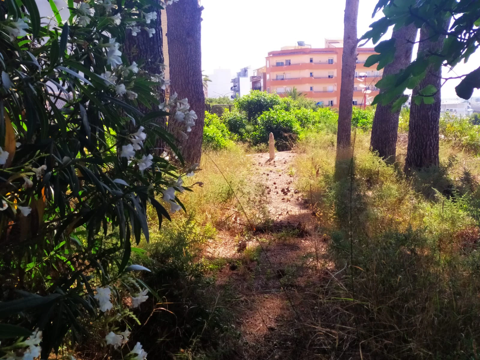 Plot for sale in Benissa