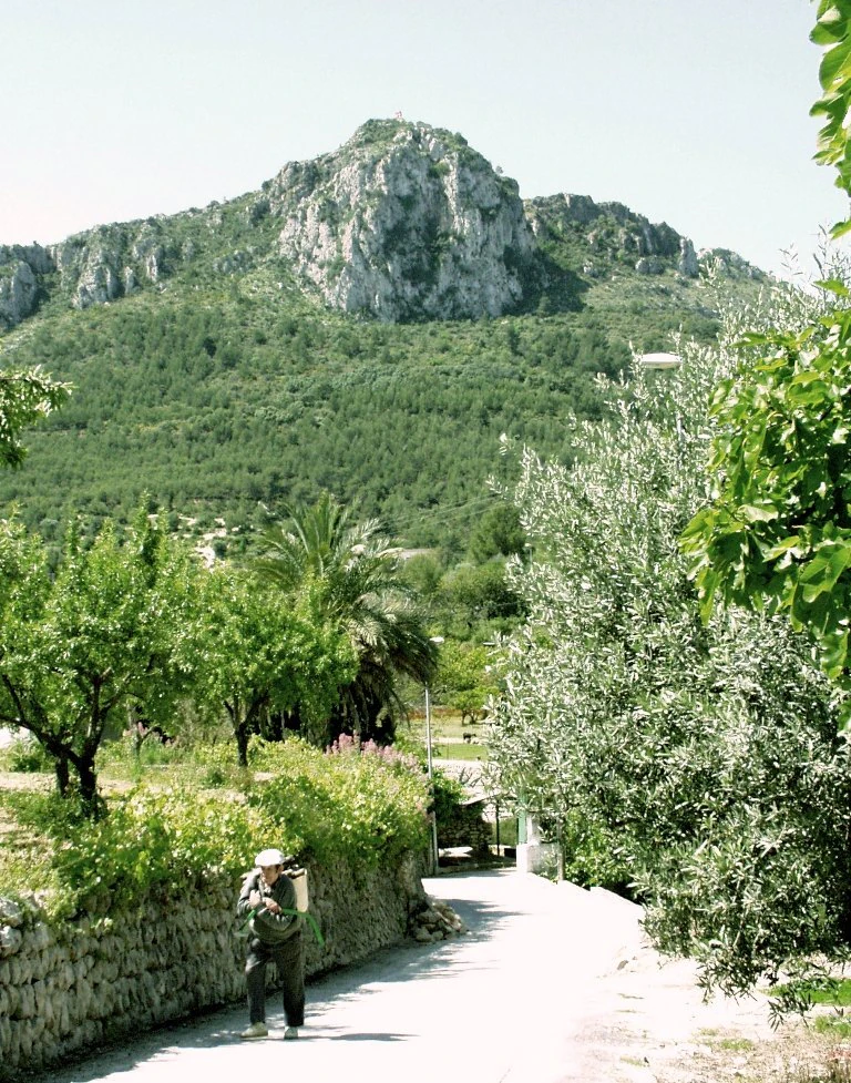 Parcela de 1.000 m2 en Orba dentro del pueblo