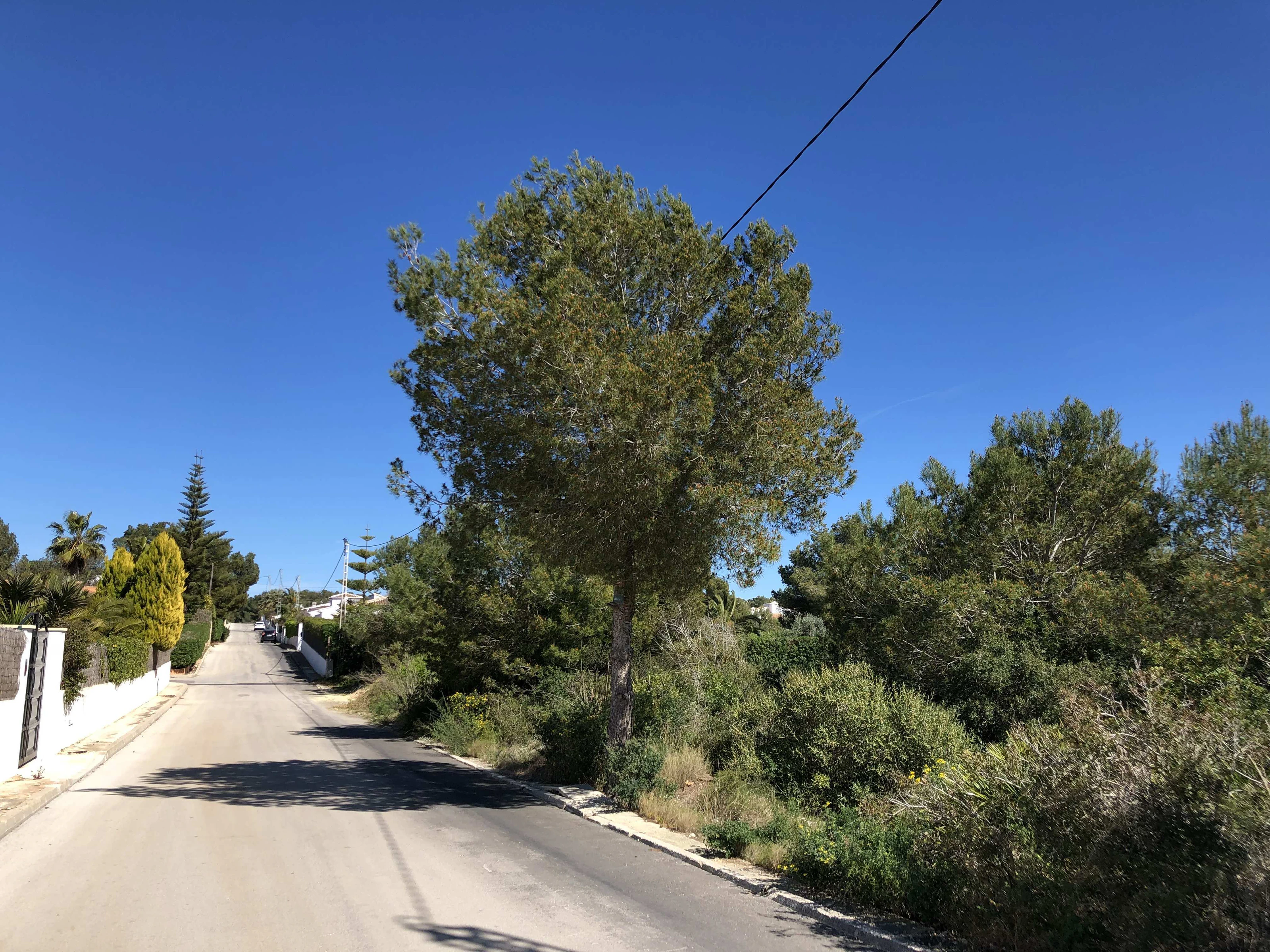 Plot for sale in Jávea