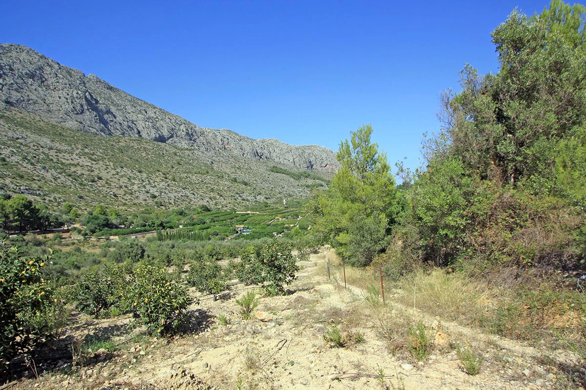 Formidable plot for sale in Beniarbeig