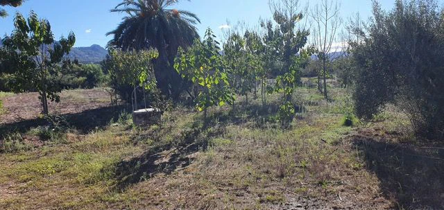 For Sale. Country house in Denia