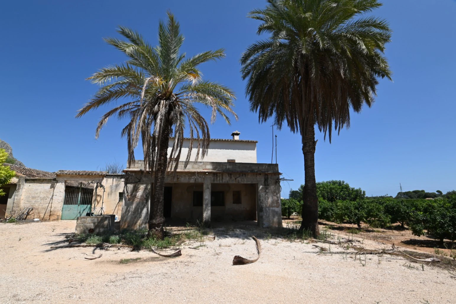 Finca à vendre près d'Ondara : 60 000 m² de terrain avec verger d'orangers et potentiel pour un nouveau développement