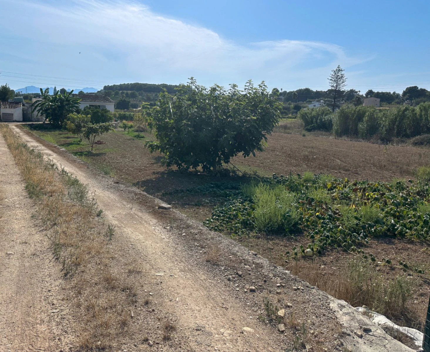 AGRICULTURELE WONING TE KOOP IN TEULADA