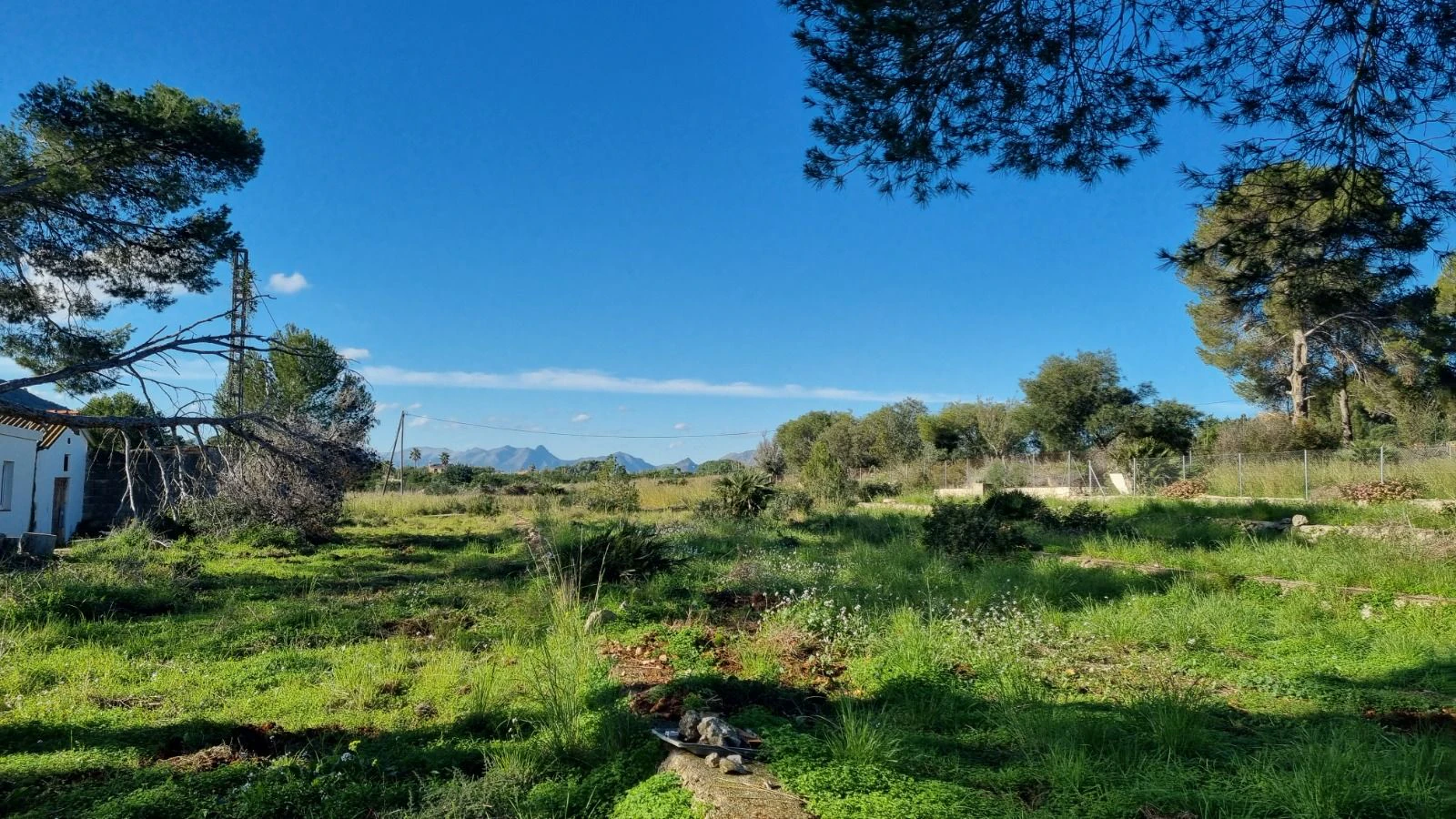 Finca en un terreno rústico en venta en Denia