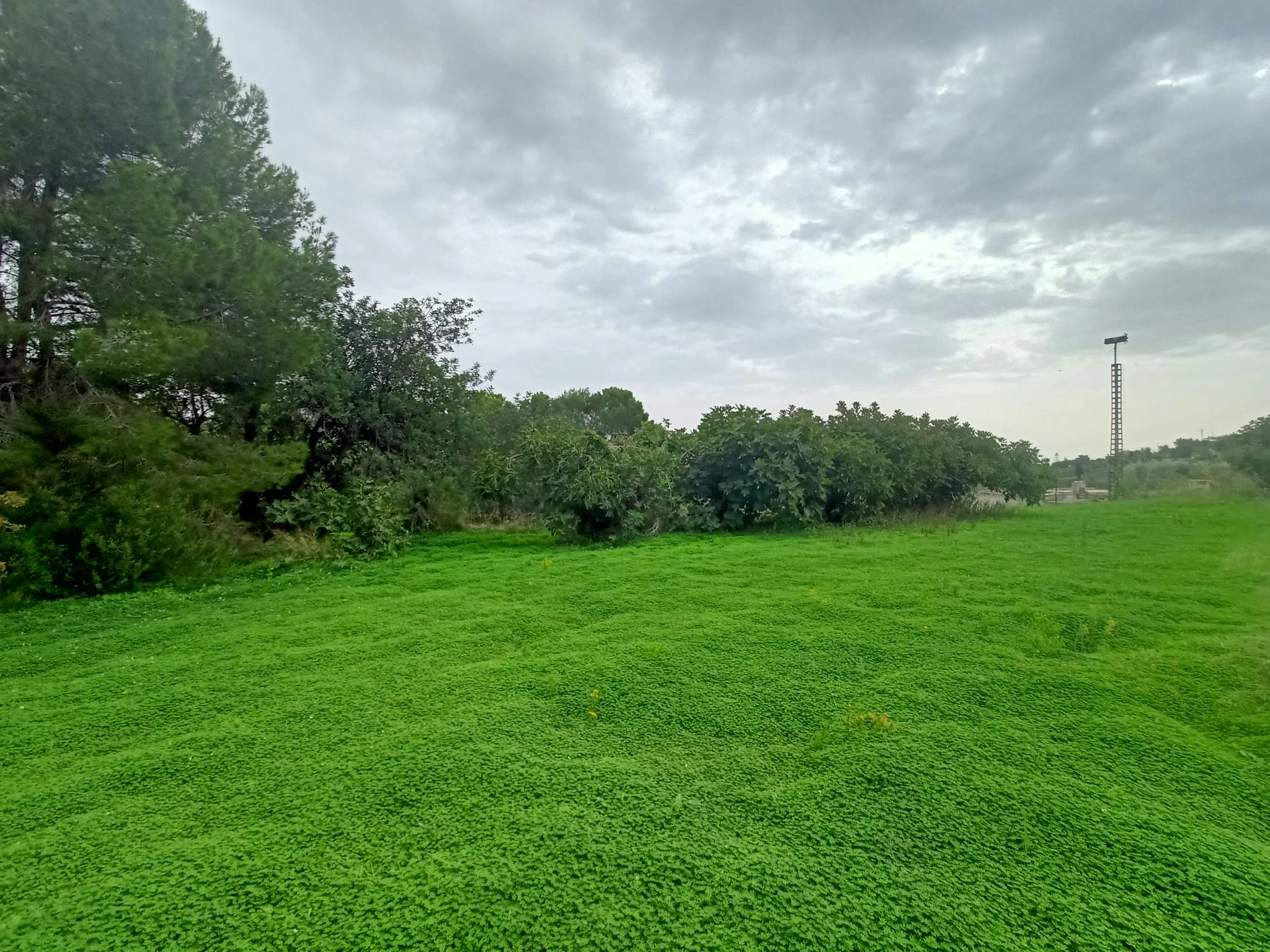 Terrain à la vente à Benissa