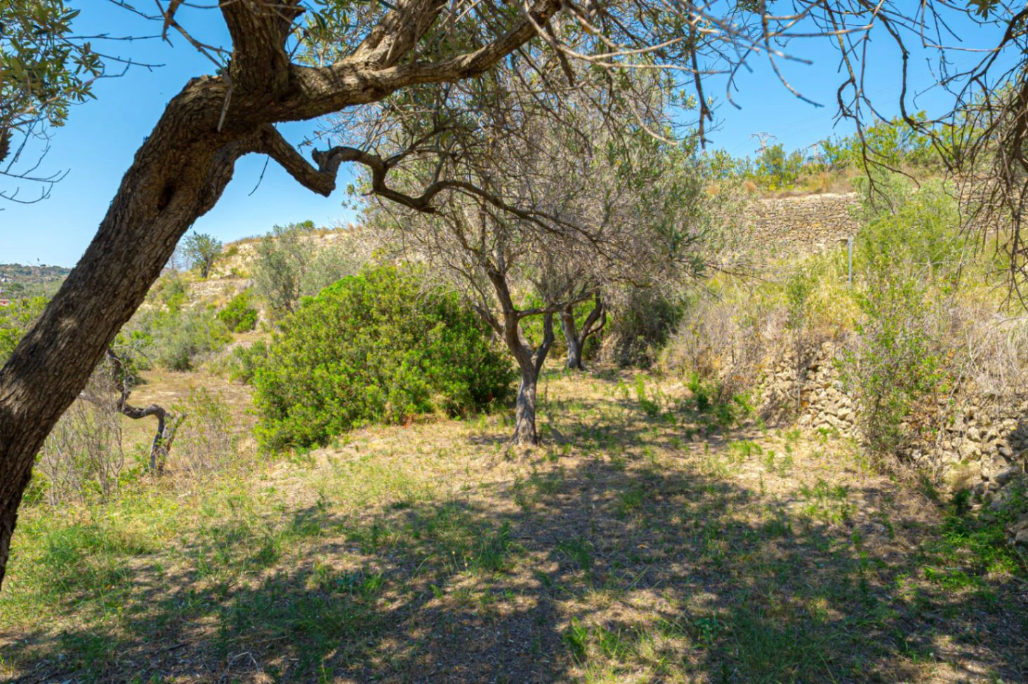 Villa for sale in Benissa: Stables and land
