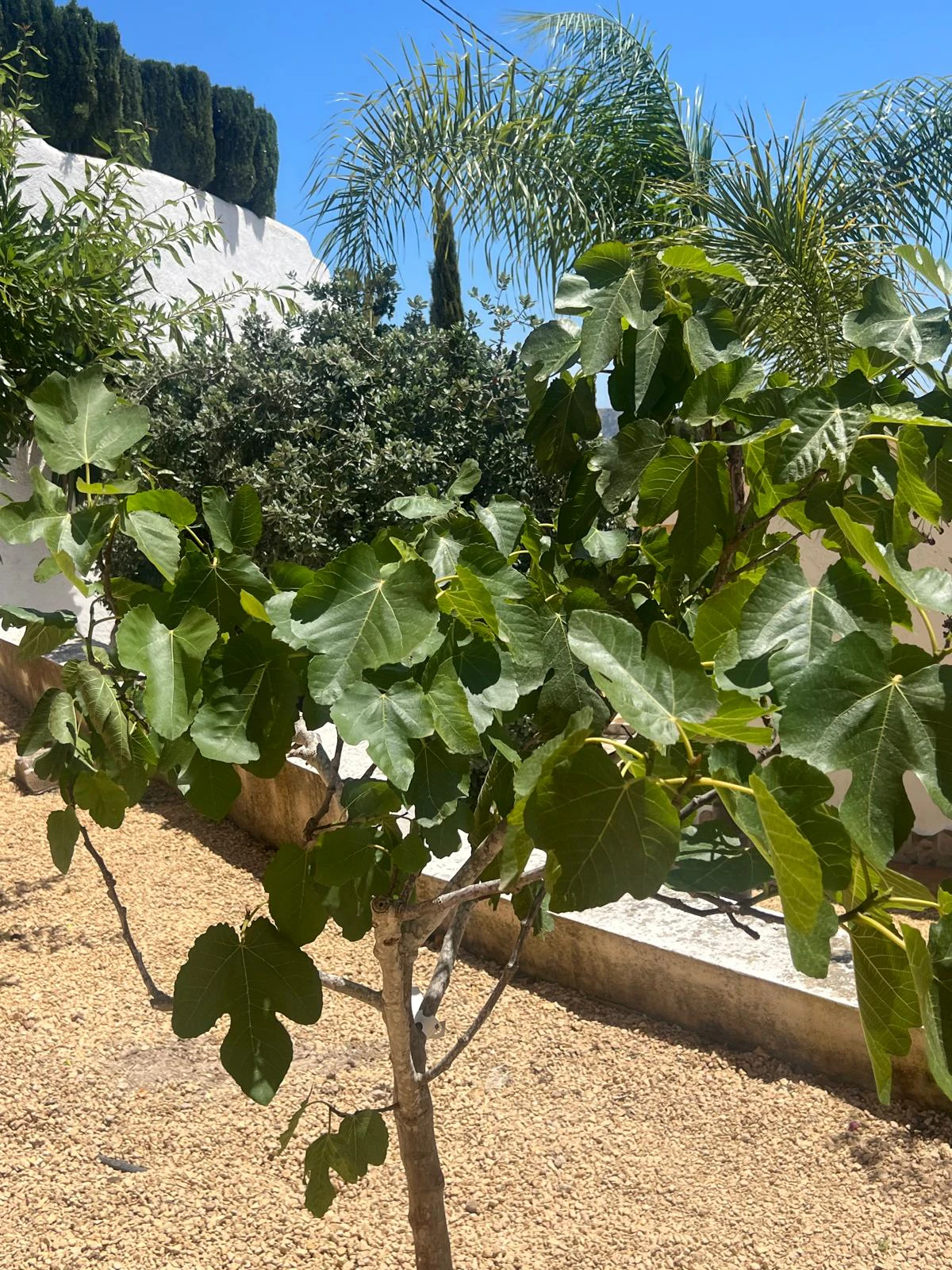 Villa for sale in Moraira