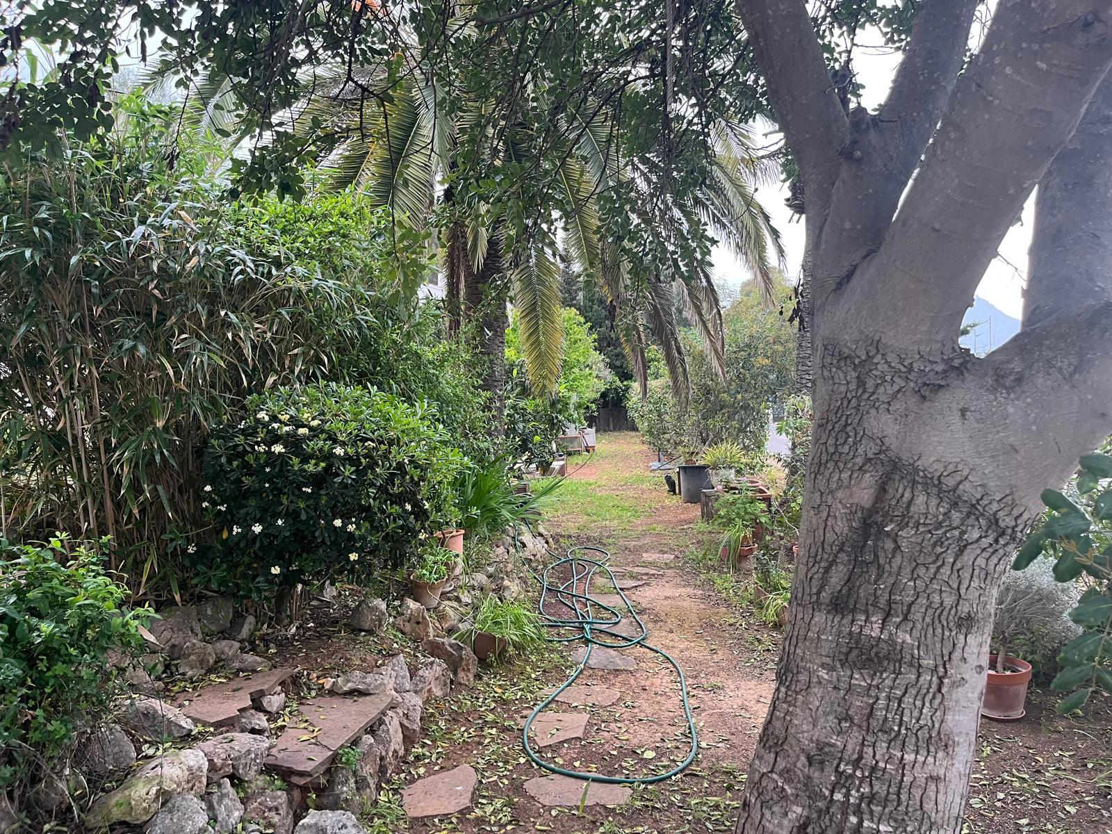 Villa te verkoop in Jávea / Xàbia