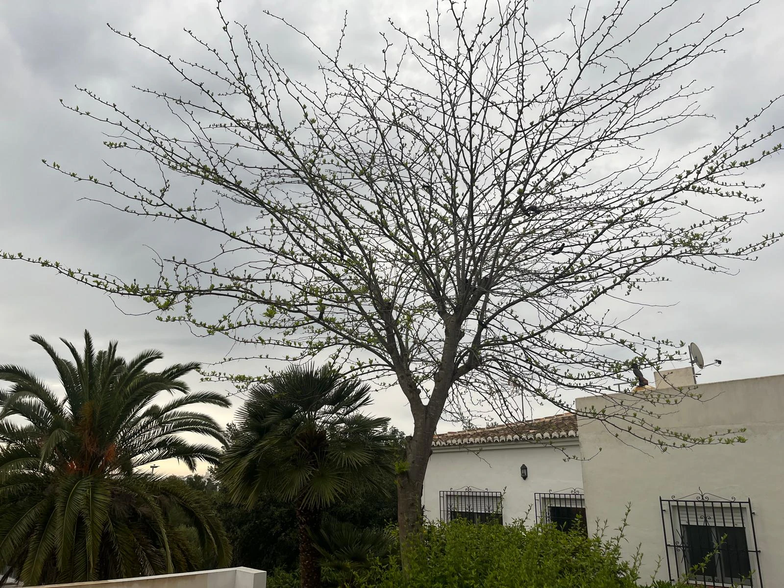 Villa te verkoop in Jávea / Xàbia