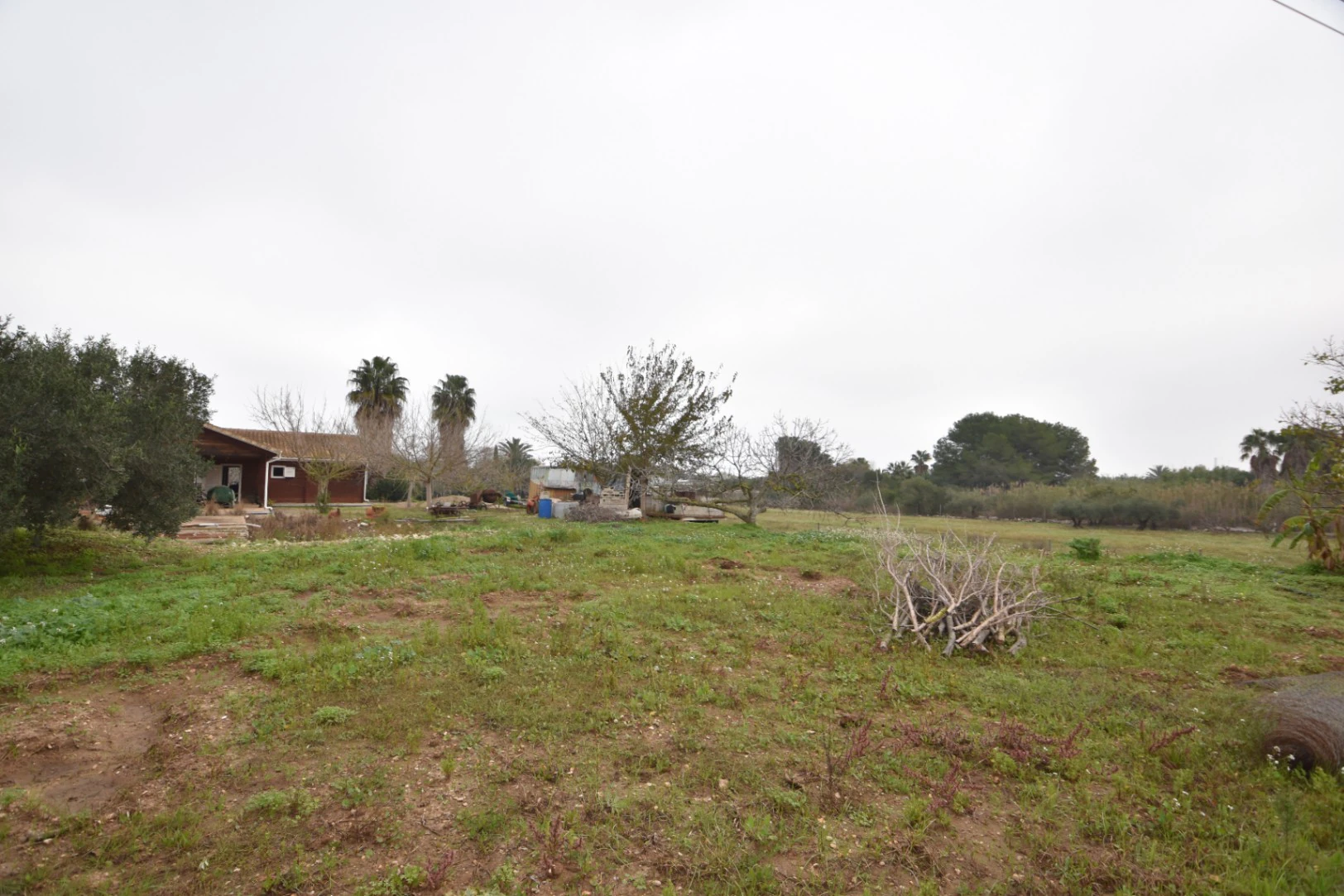 Maison sur un grand terrain urbain
