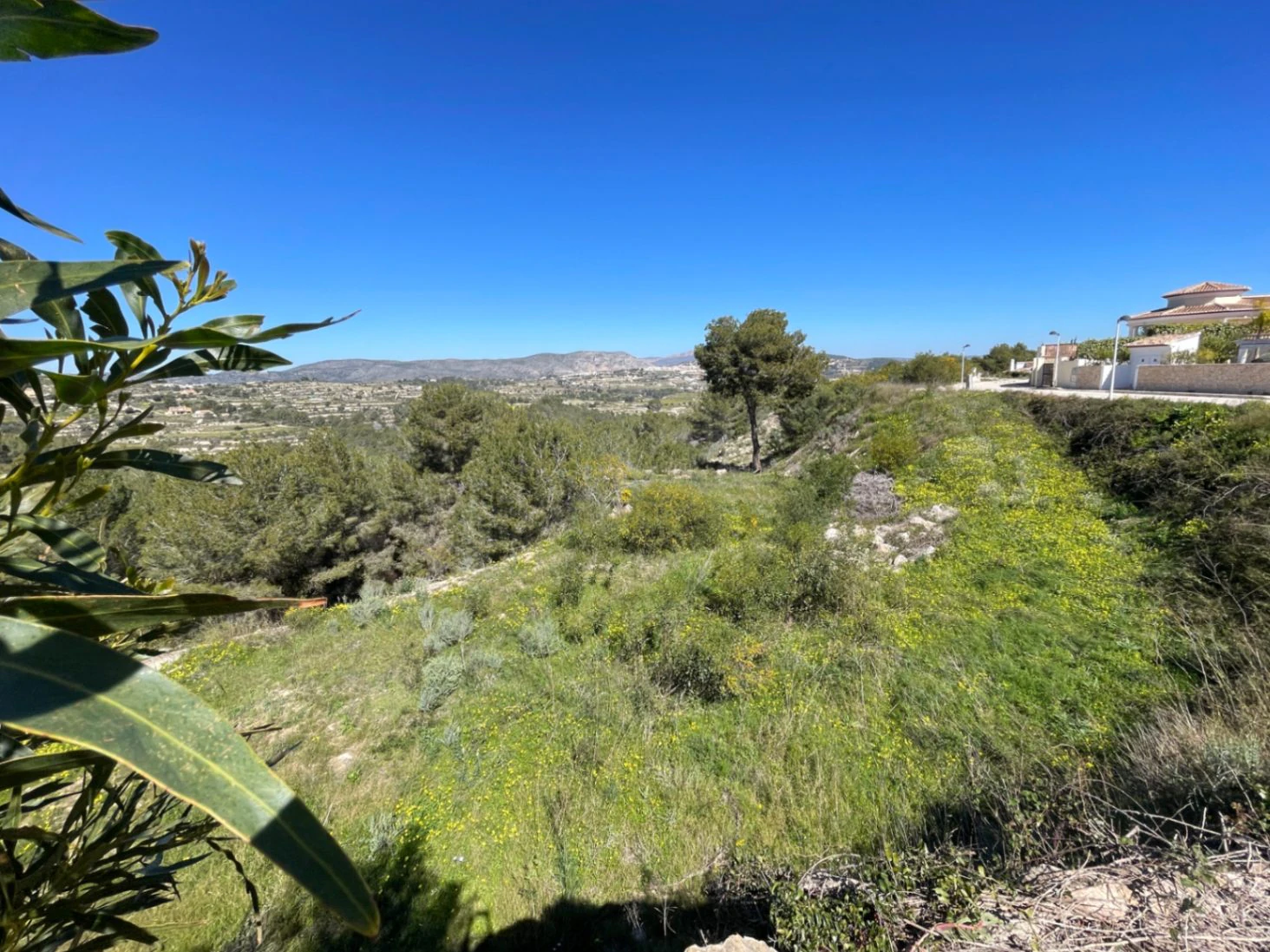 Espectacular Parcela Urbana con Vistas Panorámicas y Gran Terreno Adyacente