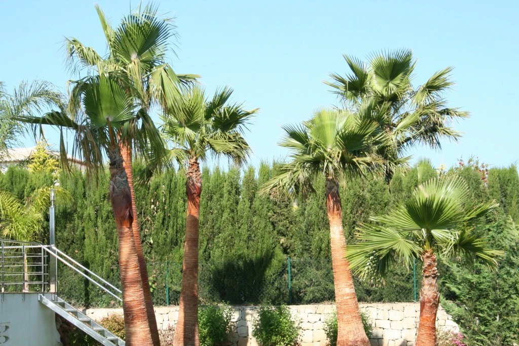 Villa à la vente à Jávea