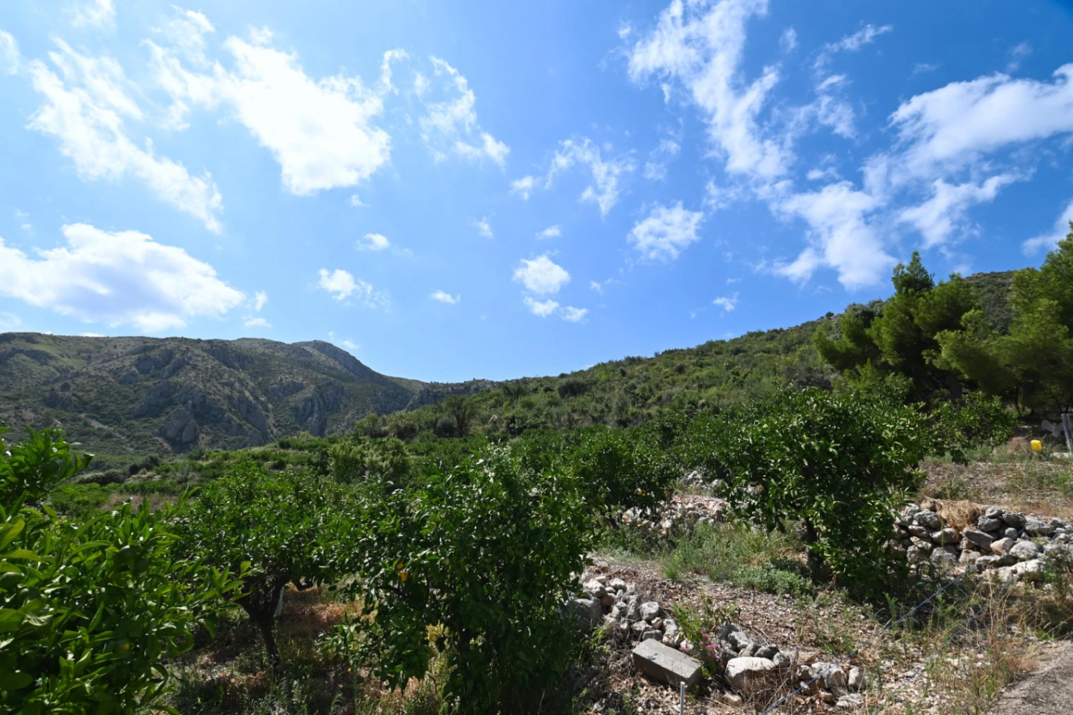 Steinernes Landhaus zu verkaufen in Pego mit Küsten- und Bergblick