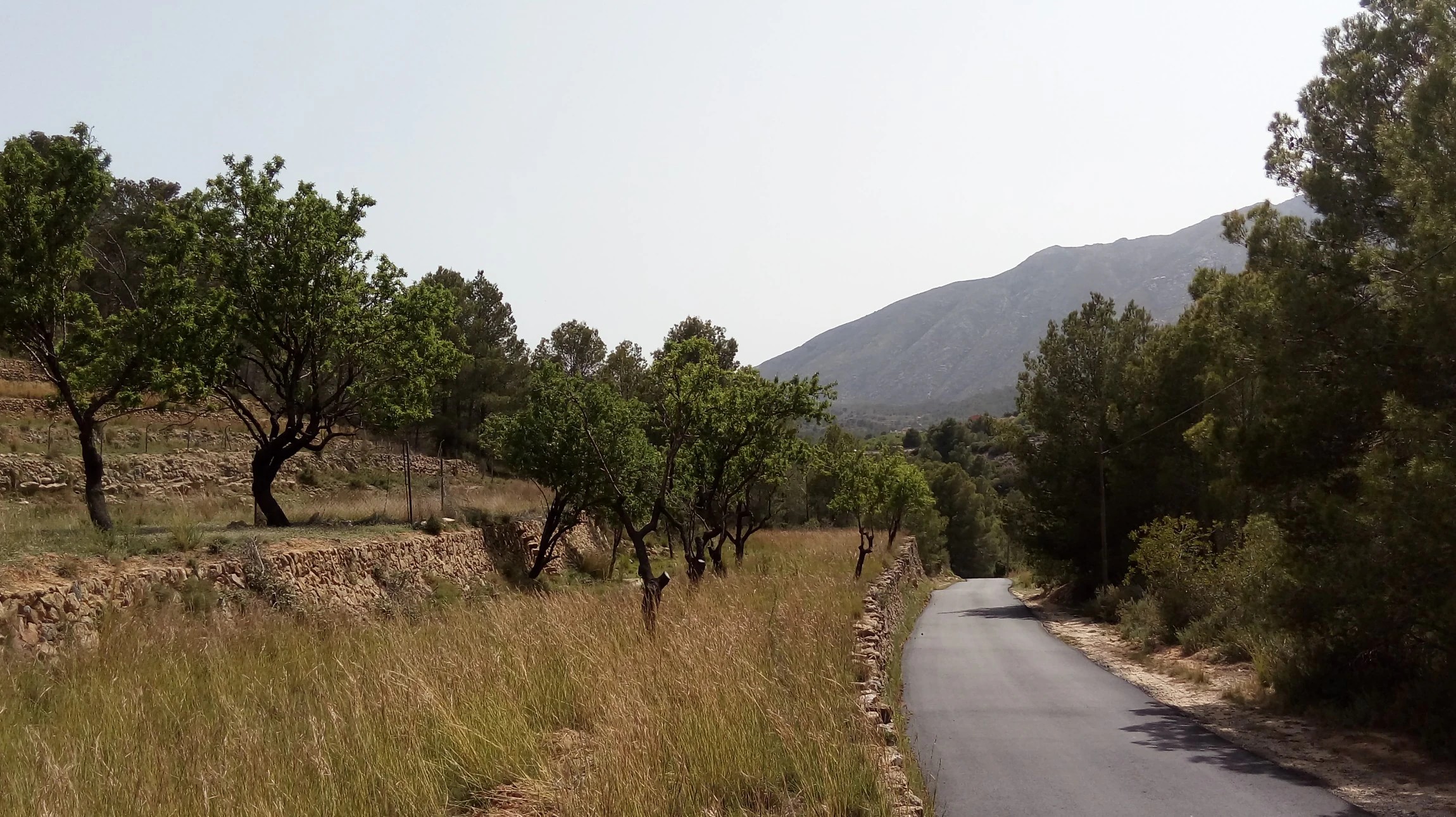Plot for sale in Benissa
