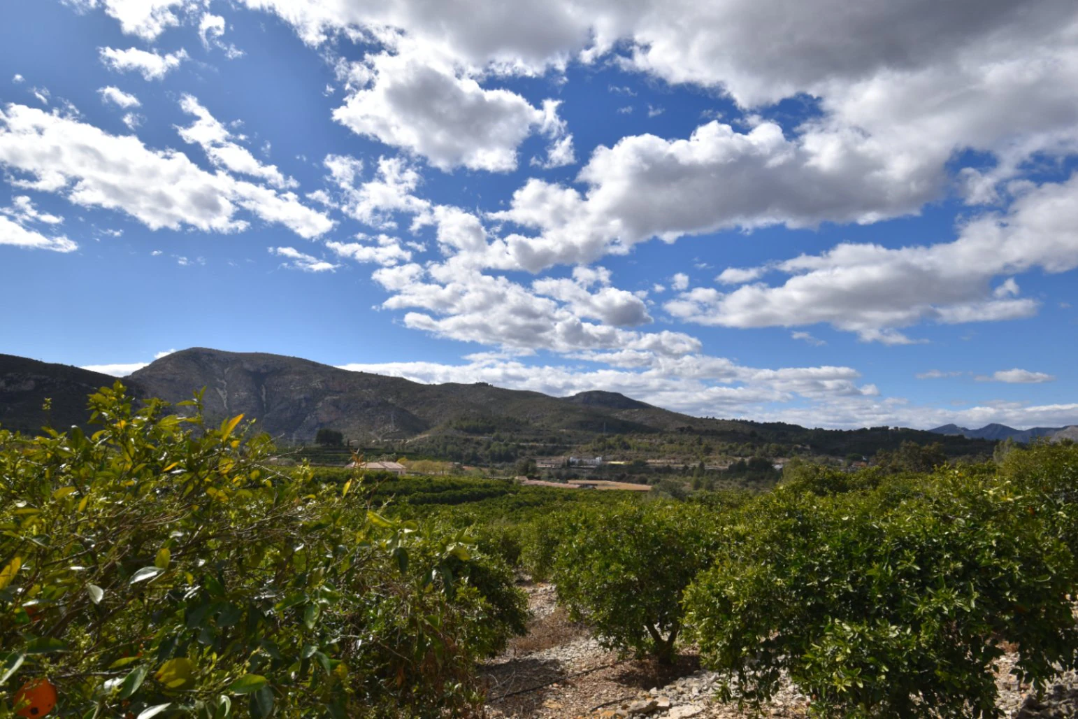 Finca for sale in Denia