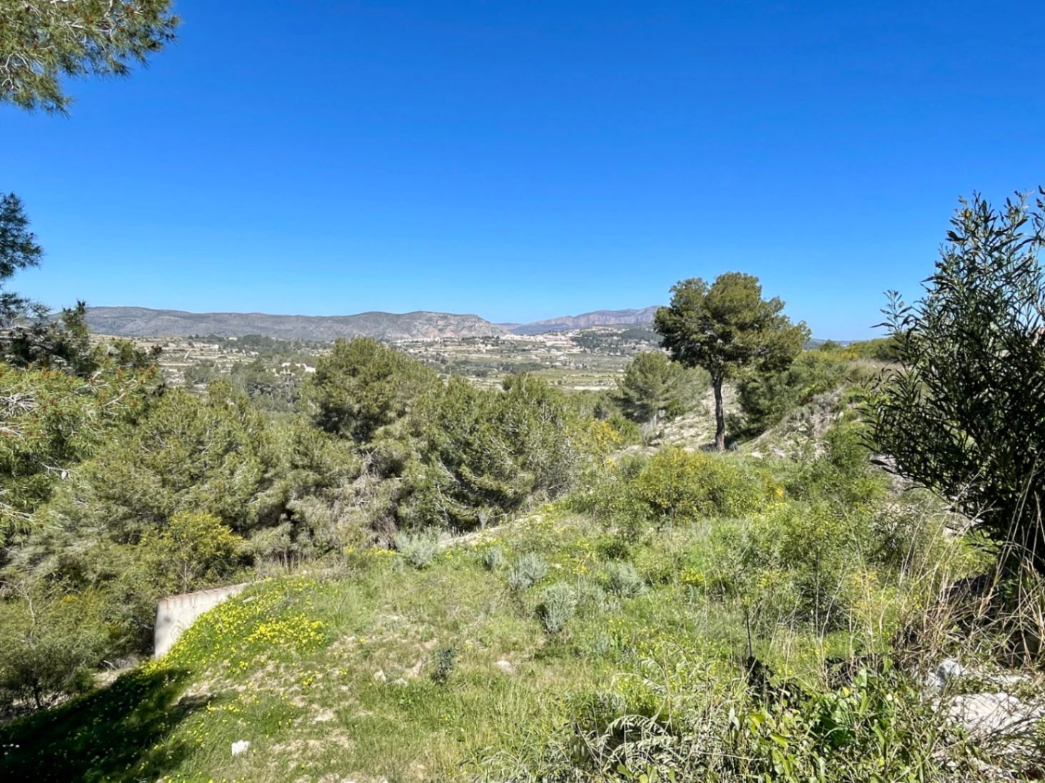 Espectacular Parcela Urbana con Vistas Panorámicas y Gran Terreno Adyacente
