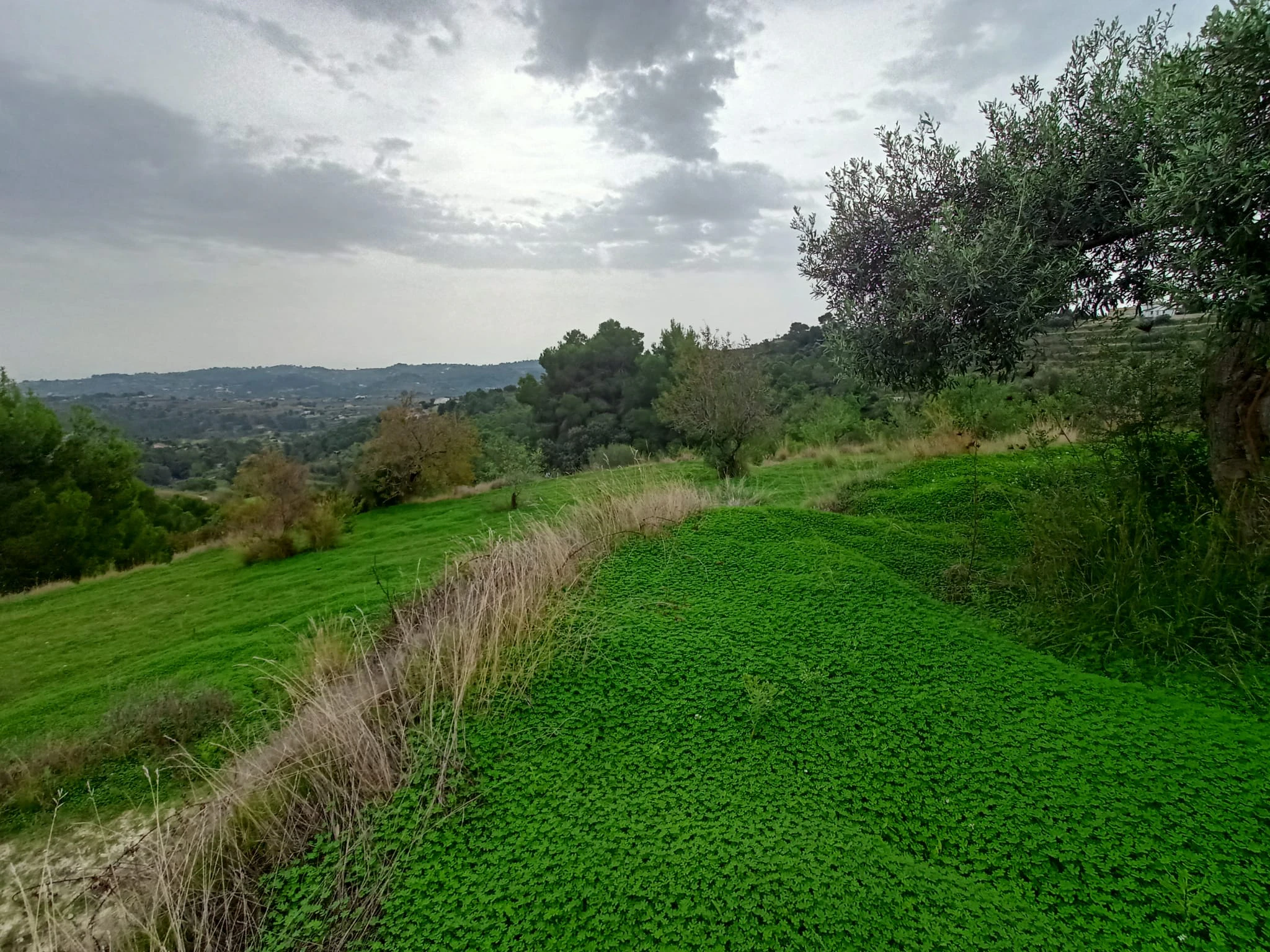 Terrain à la vente à Benissa
