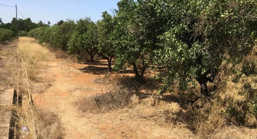 Grundstück 400 m vom Strand in Denia gelegen