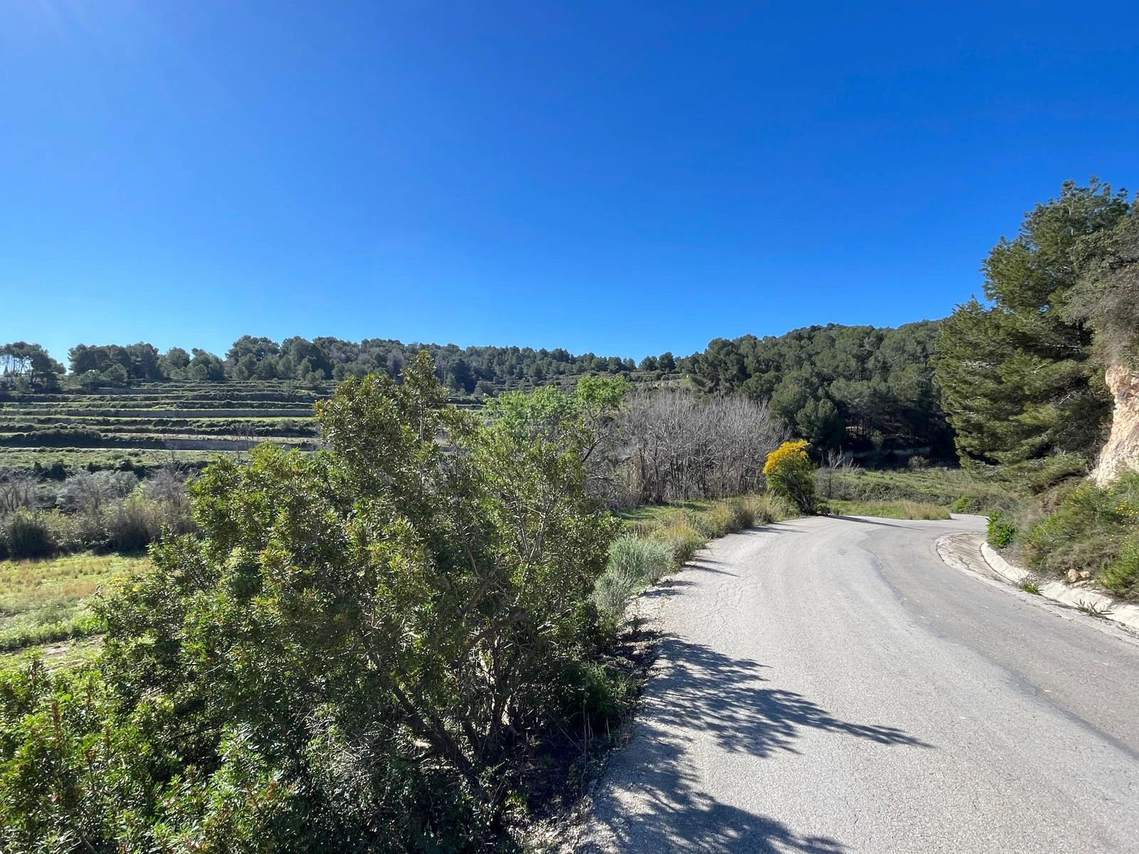 Amplia parcela de 10.000 m² en entorno natural privilegiado con orientación sur