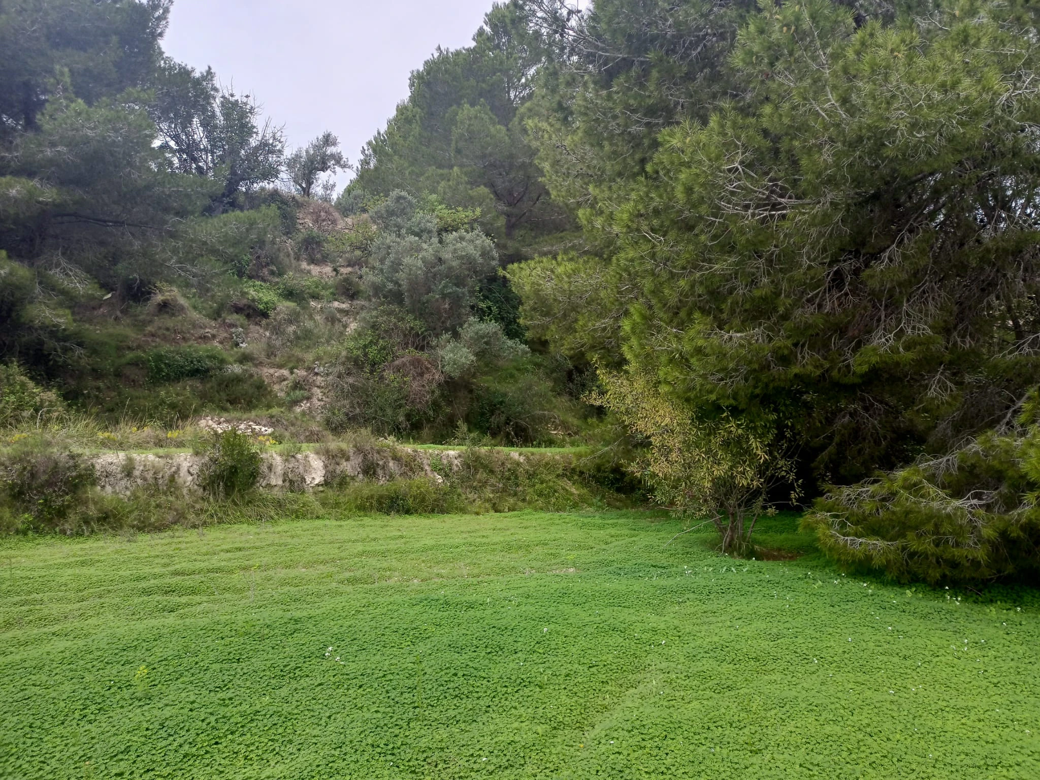 Terrain à la vente à Benissa