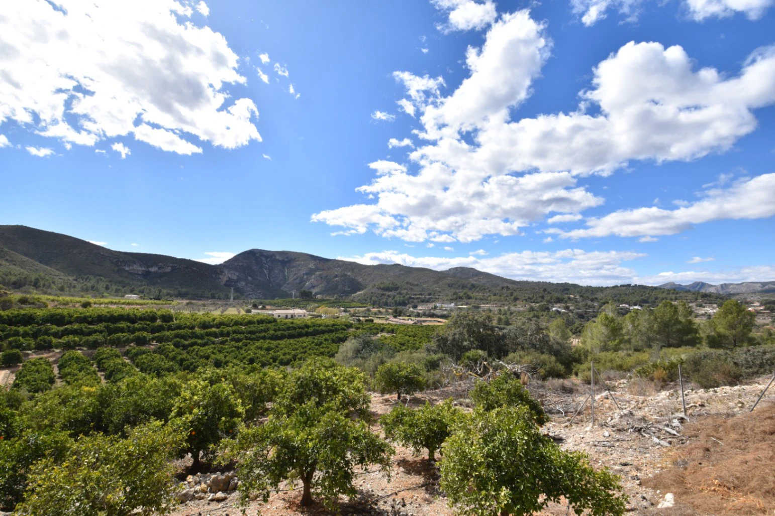 Finca for sale in Denia