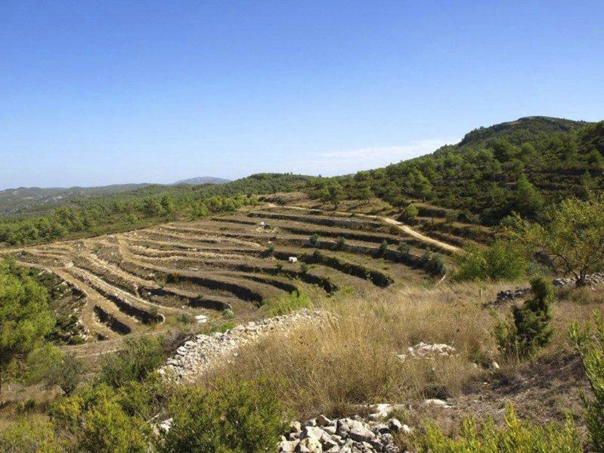 Great opportunity! 200,000 m2 of rural land for sale