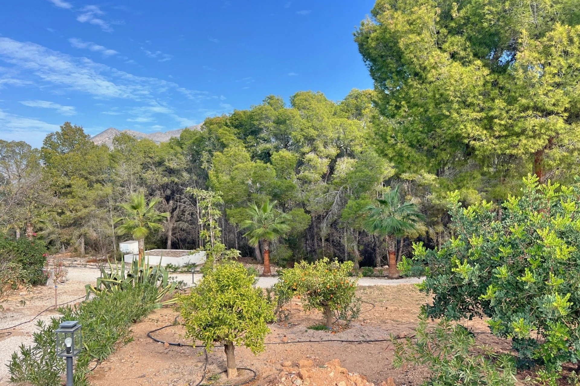 Villa zum verkauf in Altea