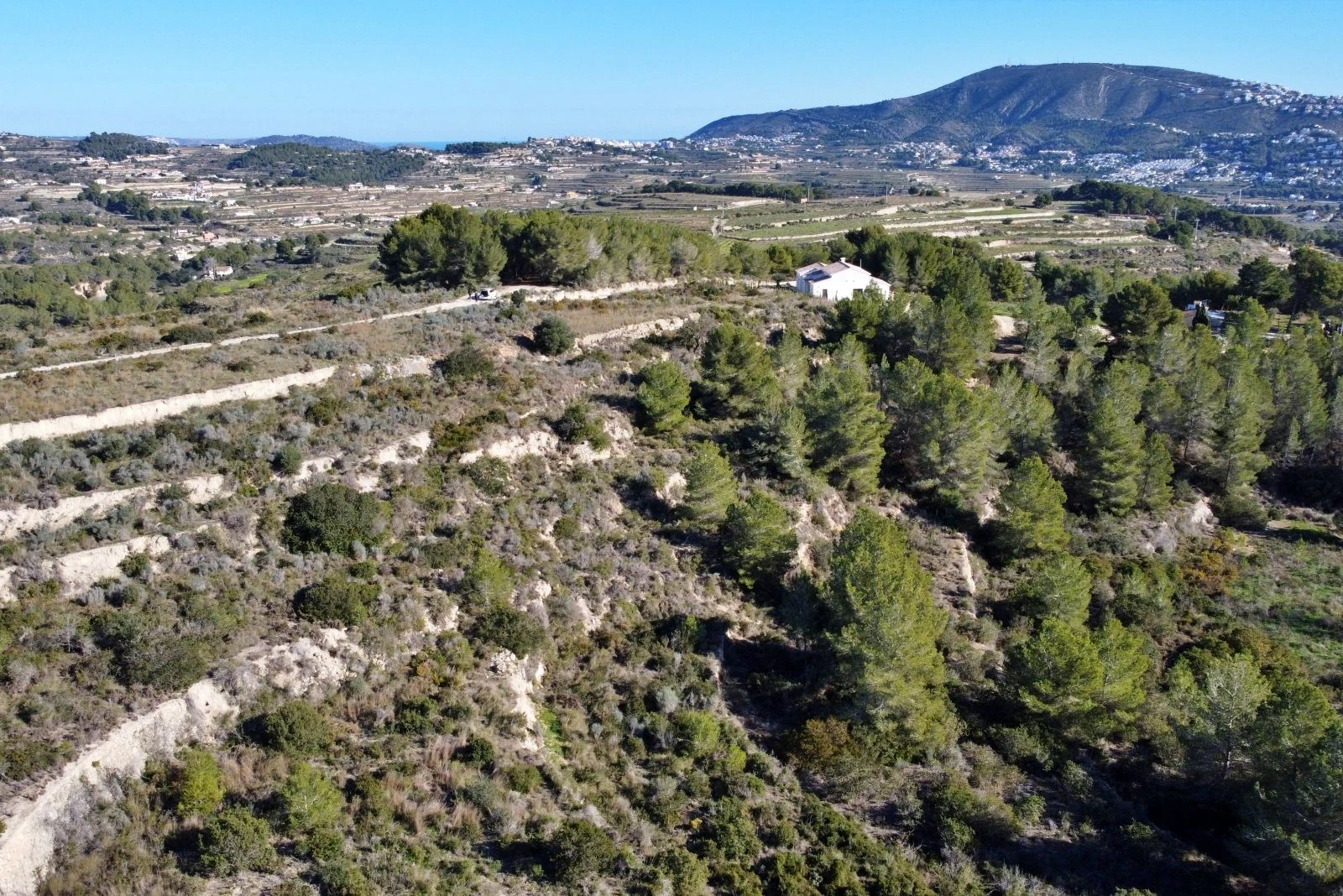 Amplia parcela rústica en Teulada, entorno tranquilo y vistas espectaculares