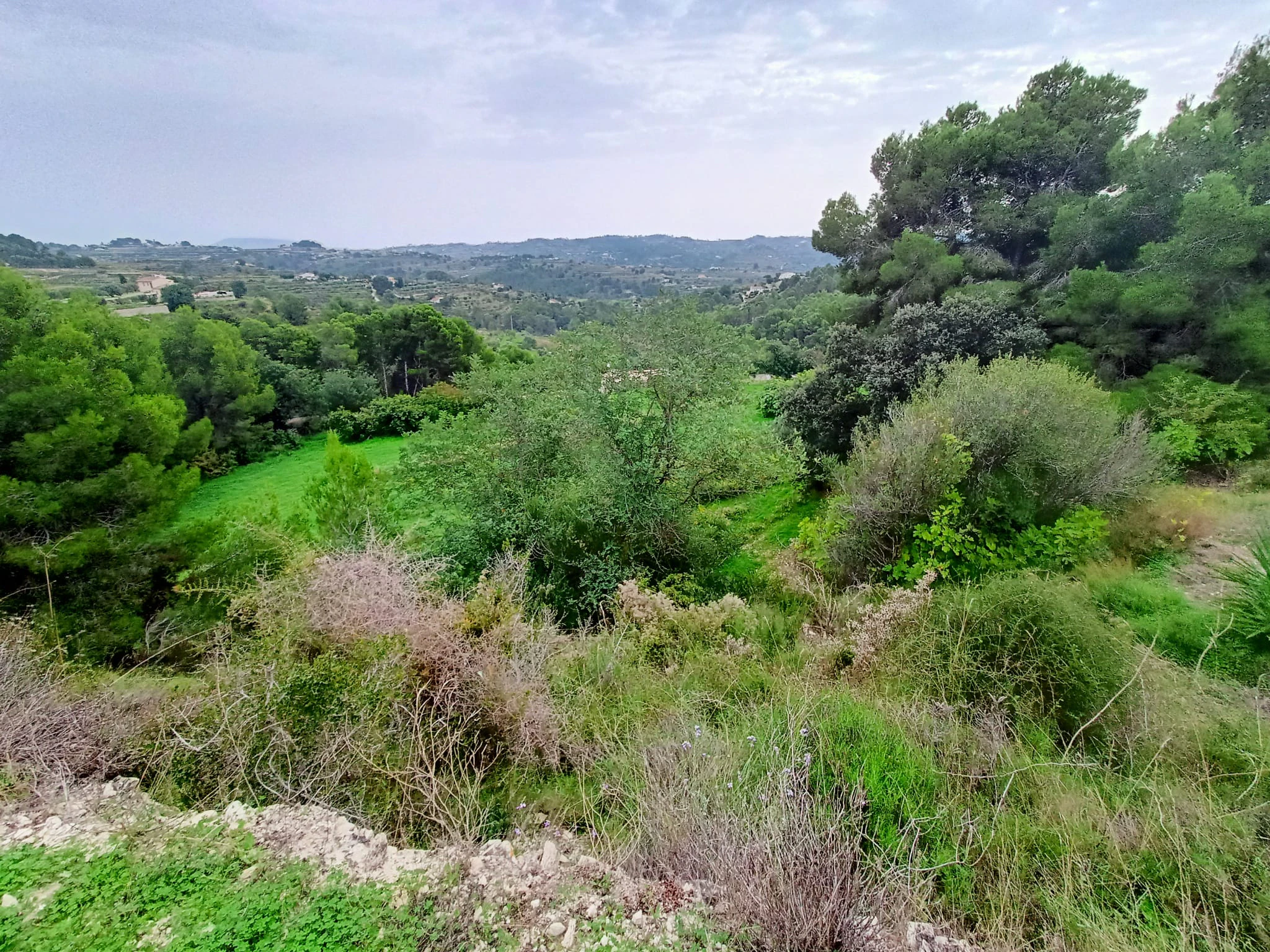 Terrain à la vente à Benissa