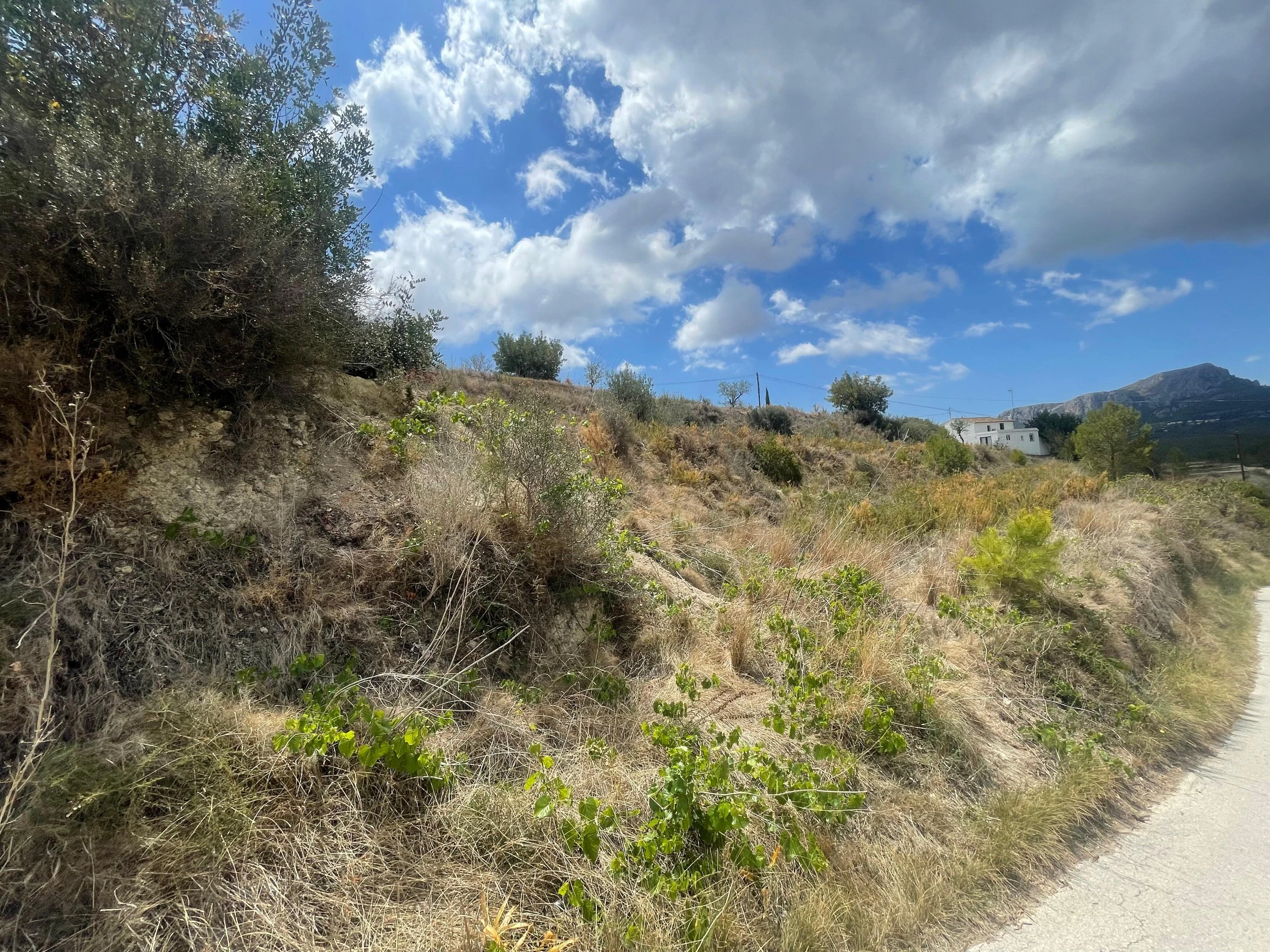Terrain à la vente à Benissa