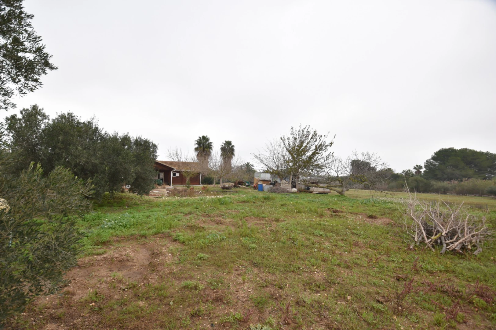 Maison sur un grand terrain urbain