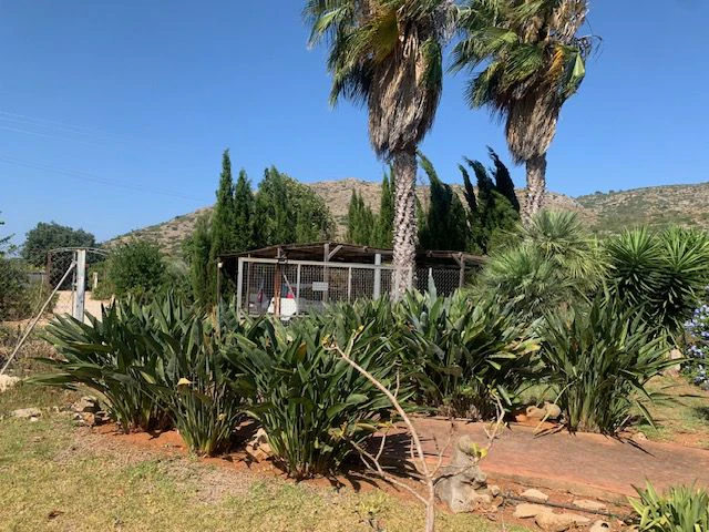 For Sale. Country house in Denia