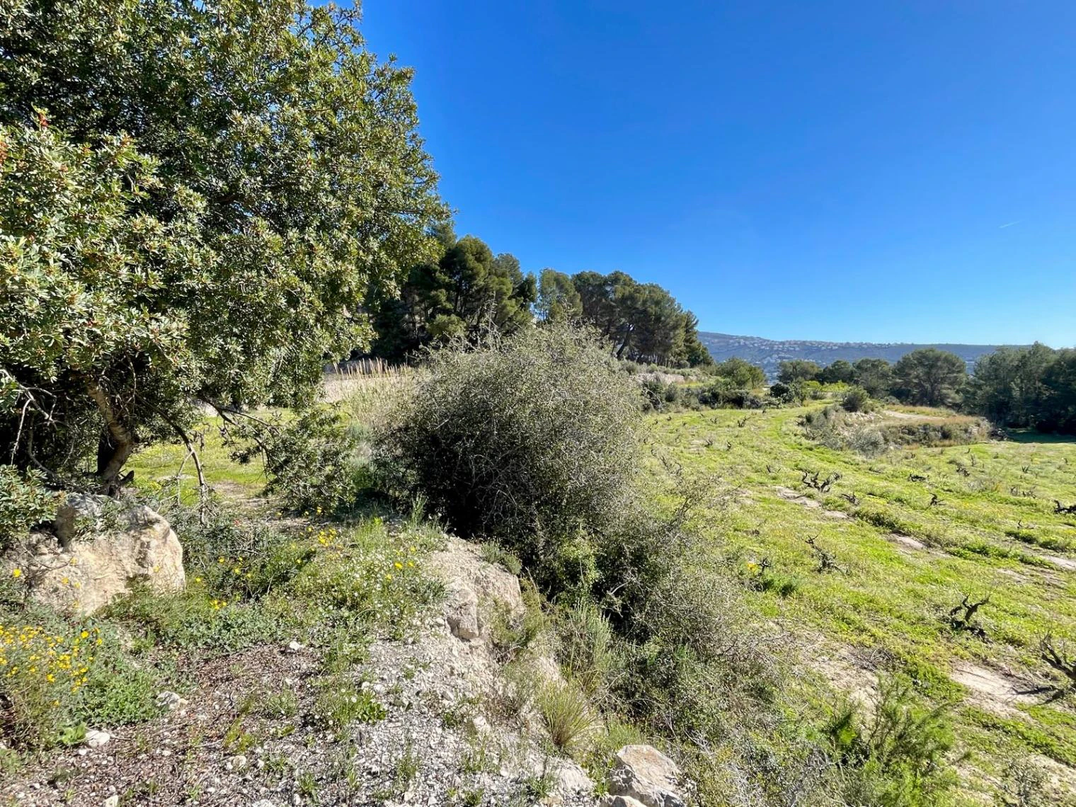 Amplia parcela de 10.000 m² en entorno natural privilegiado con orientación sur