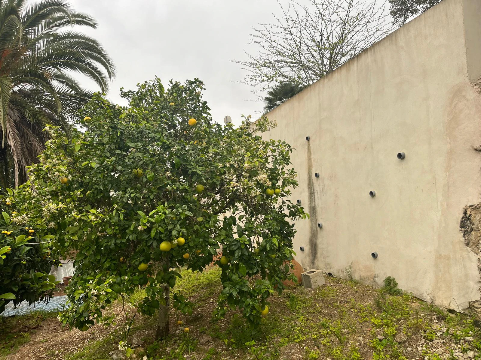 Villa te verkoop in Jávea / Xàbia