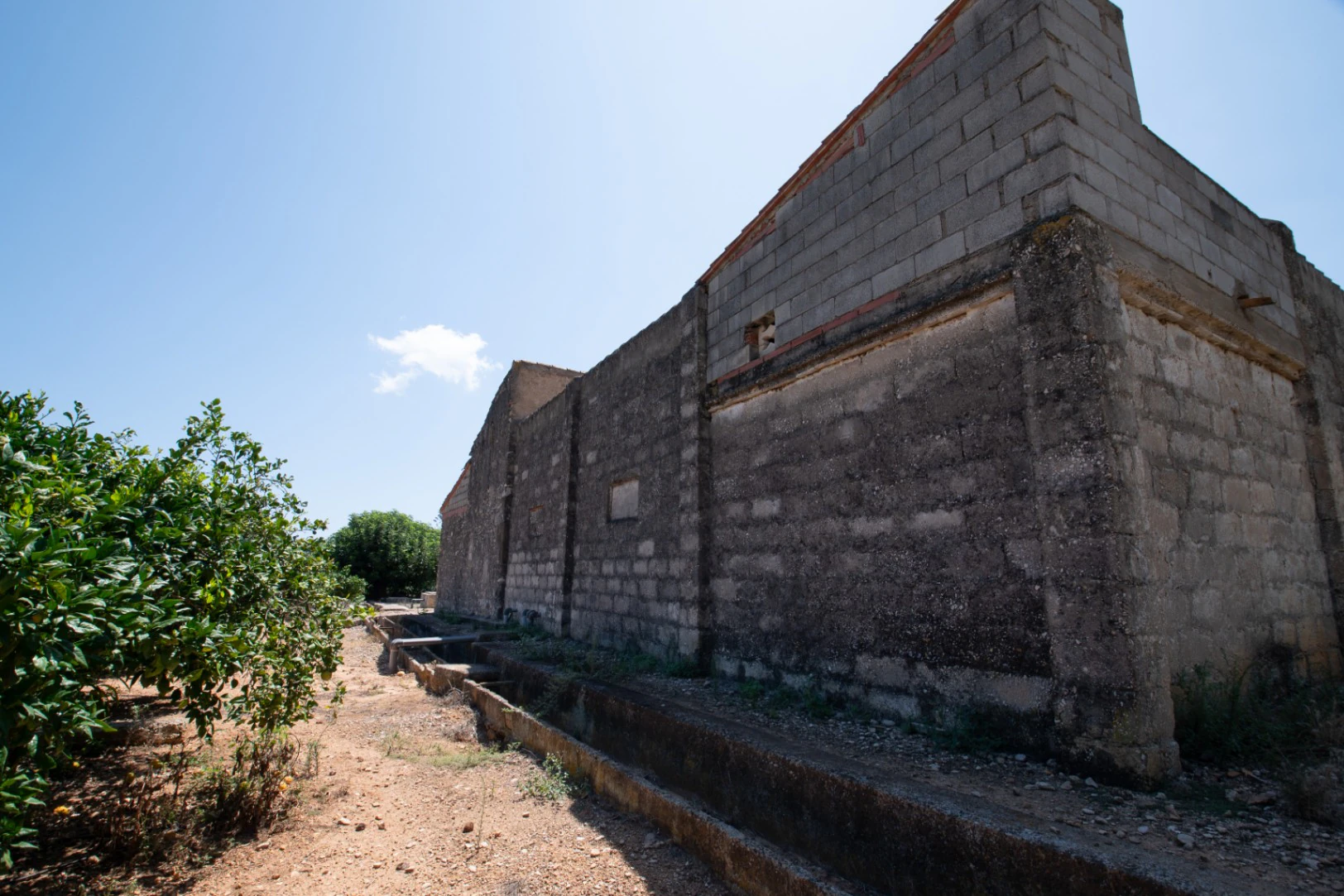 Finca à vendre près d'Ondara : 60 000 m² de terrain avec verger d'orangers et potentiel pour un nouveau développement