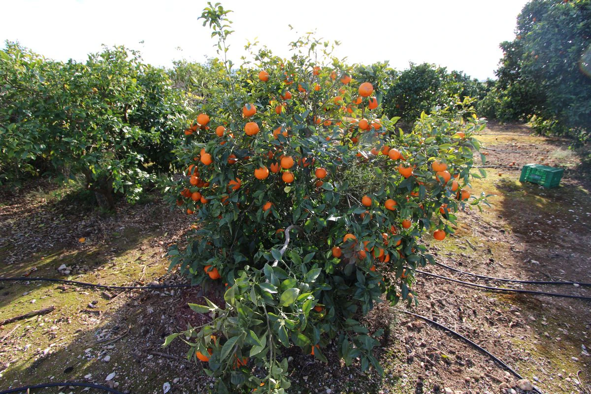 Maison de campagne/villa en pleine nature