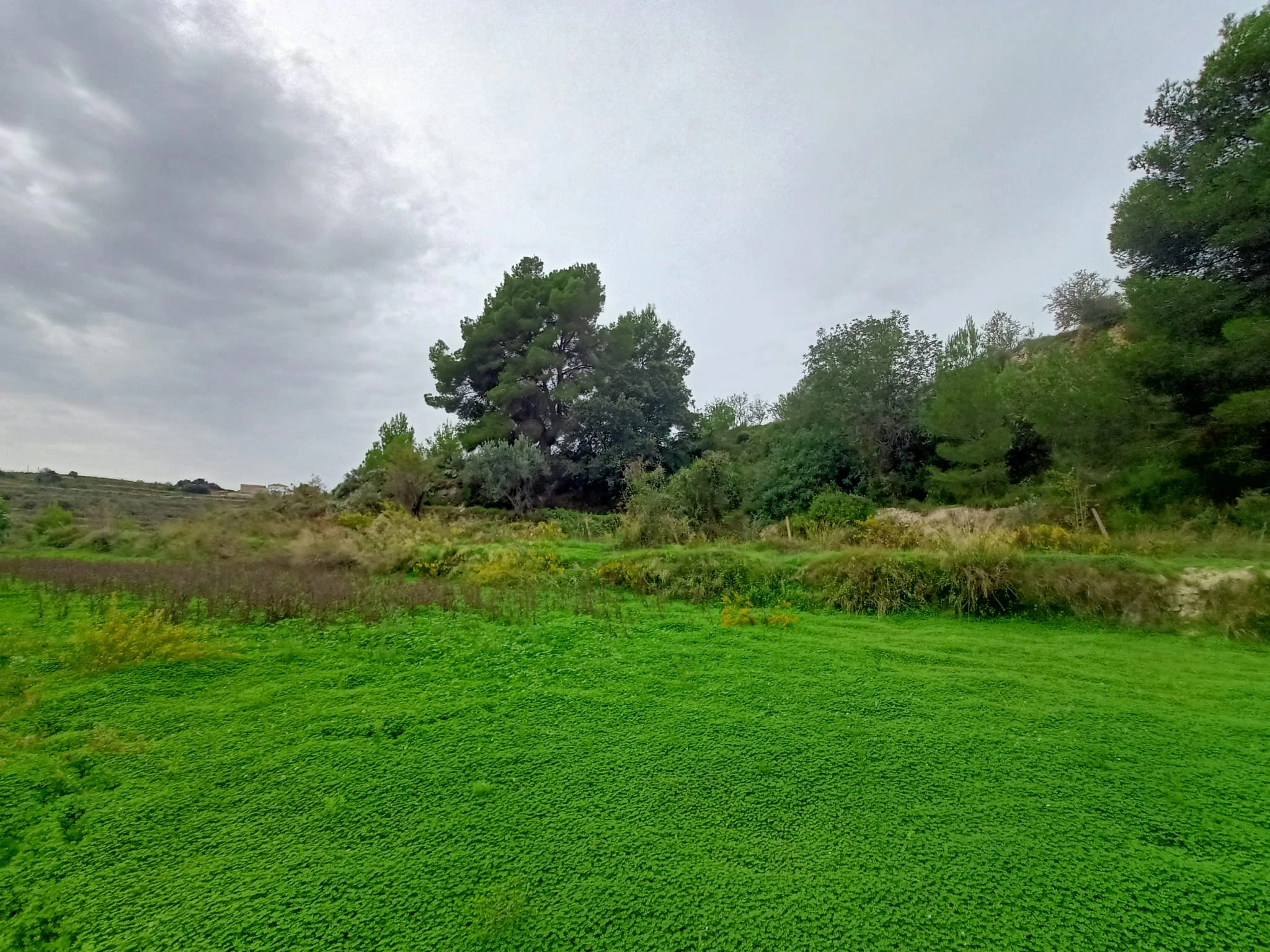 Terrain à la vente à Benissa
