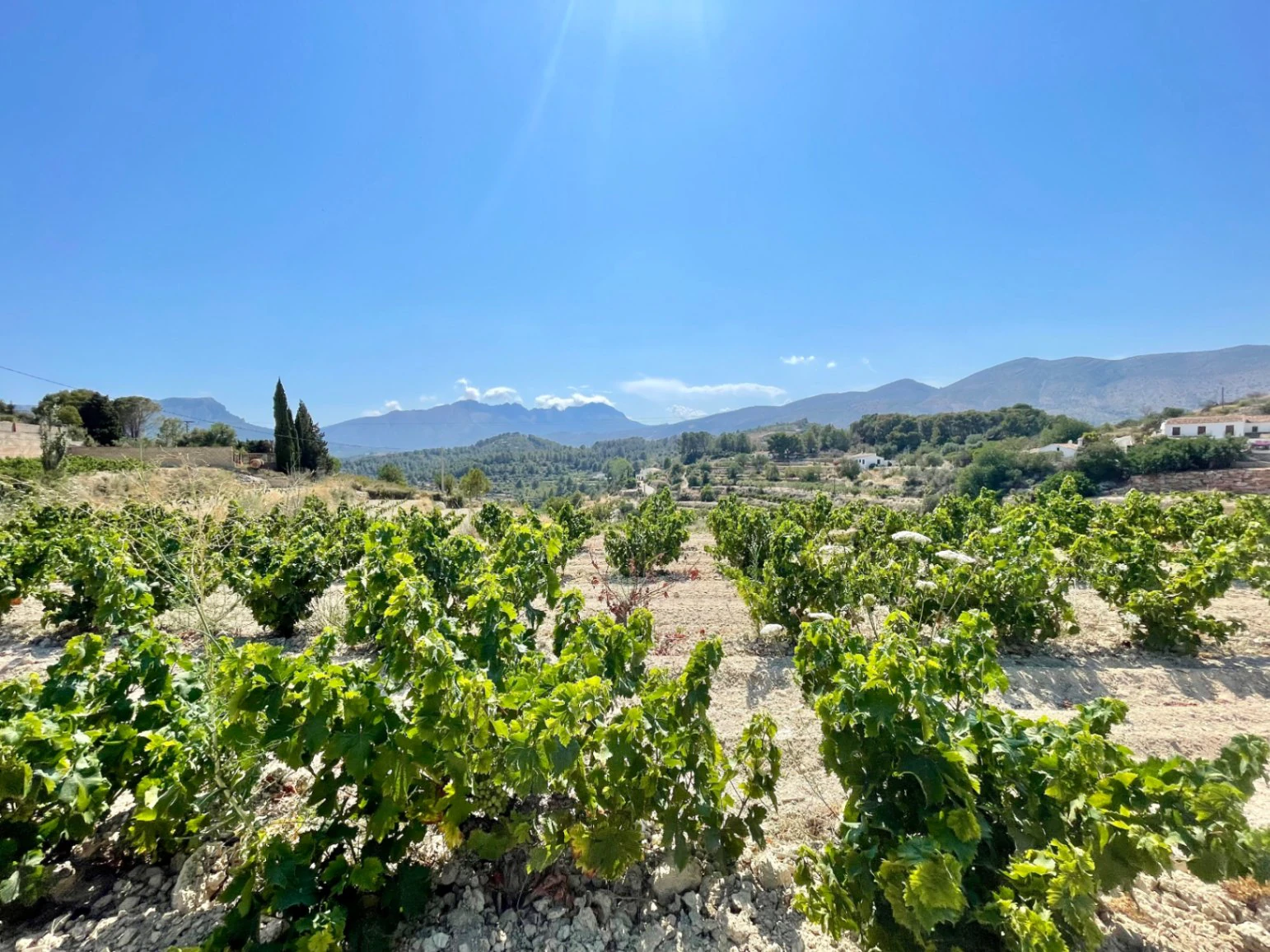 PLOT WITH PROJECT AND LICENSE IN BENISSA