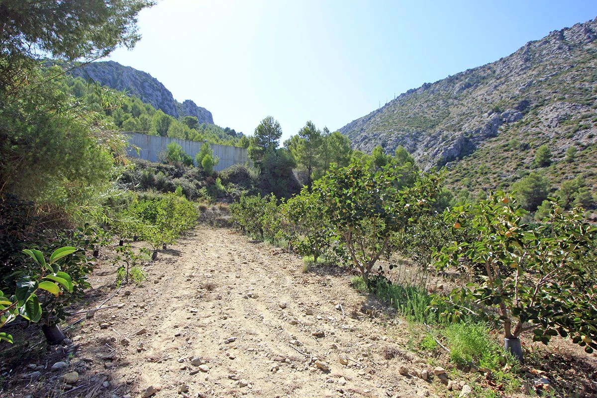 Formidable plot for sale in Beniarbeig
