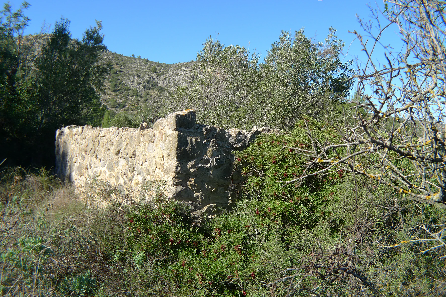 Terrain à vendre à Jalon