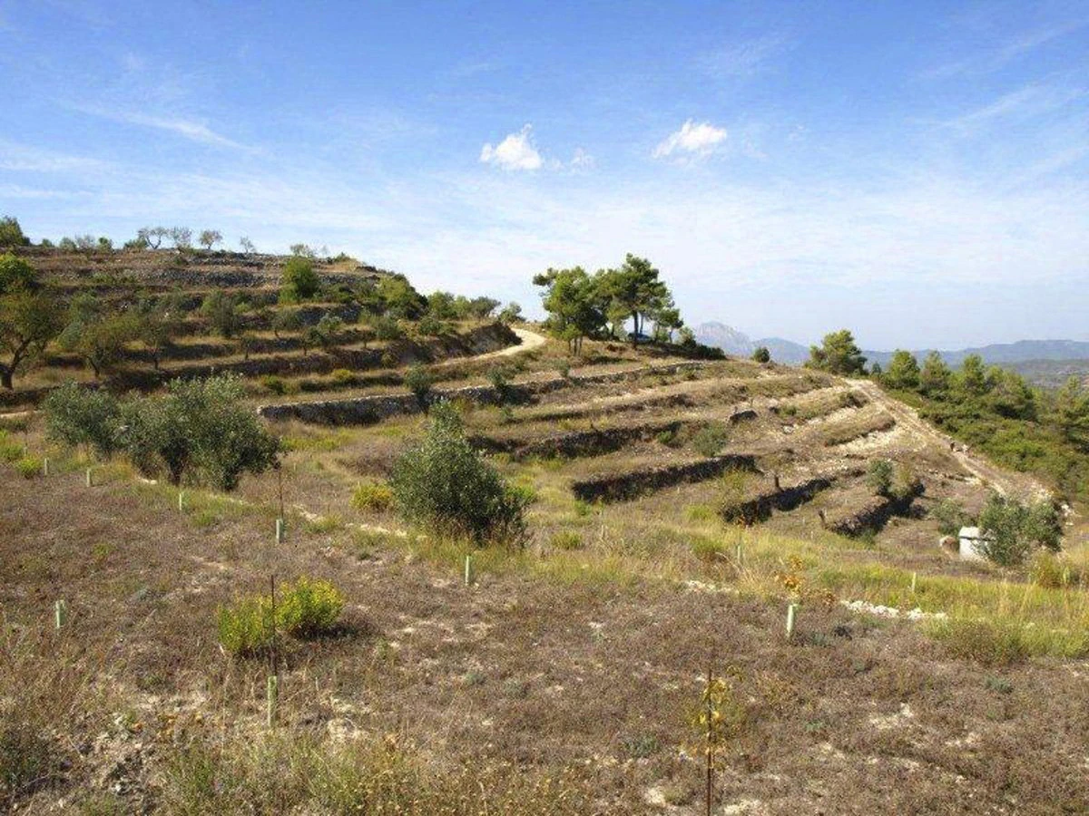Great opportunity! 200,000 m2 of rural land for sale