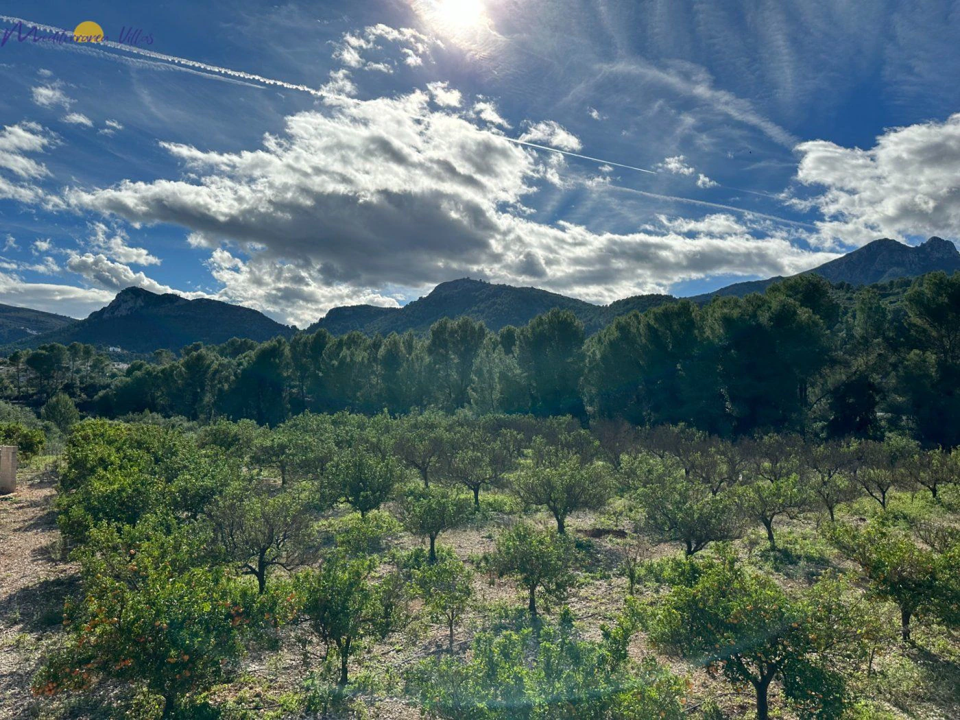 Perceel te koop in Orba