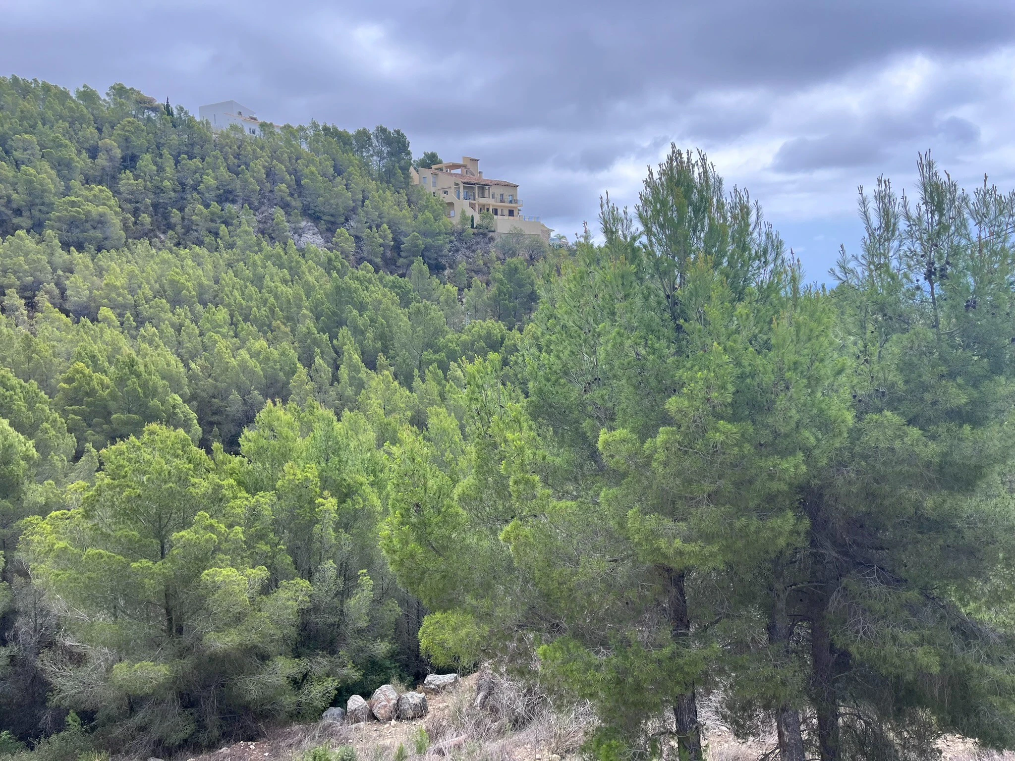 Plot for sale in Callosa D'en Sarrià