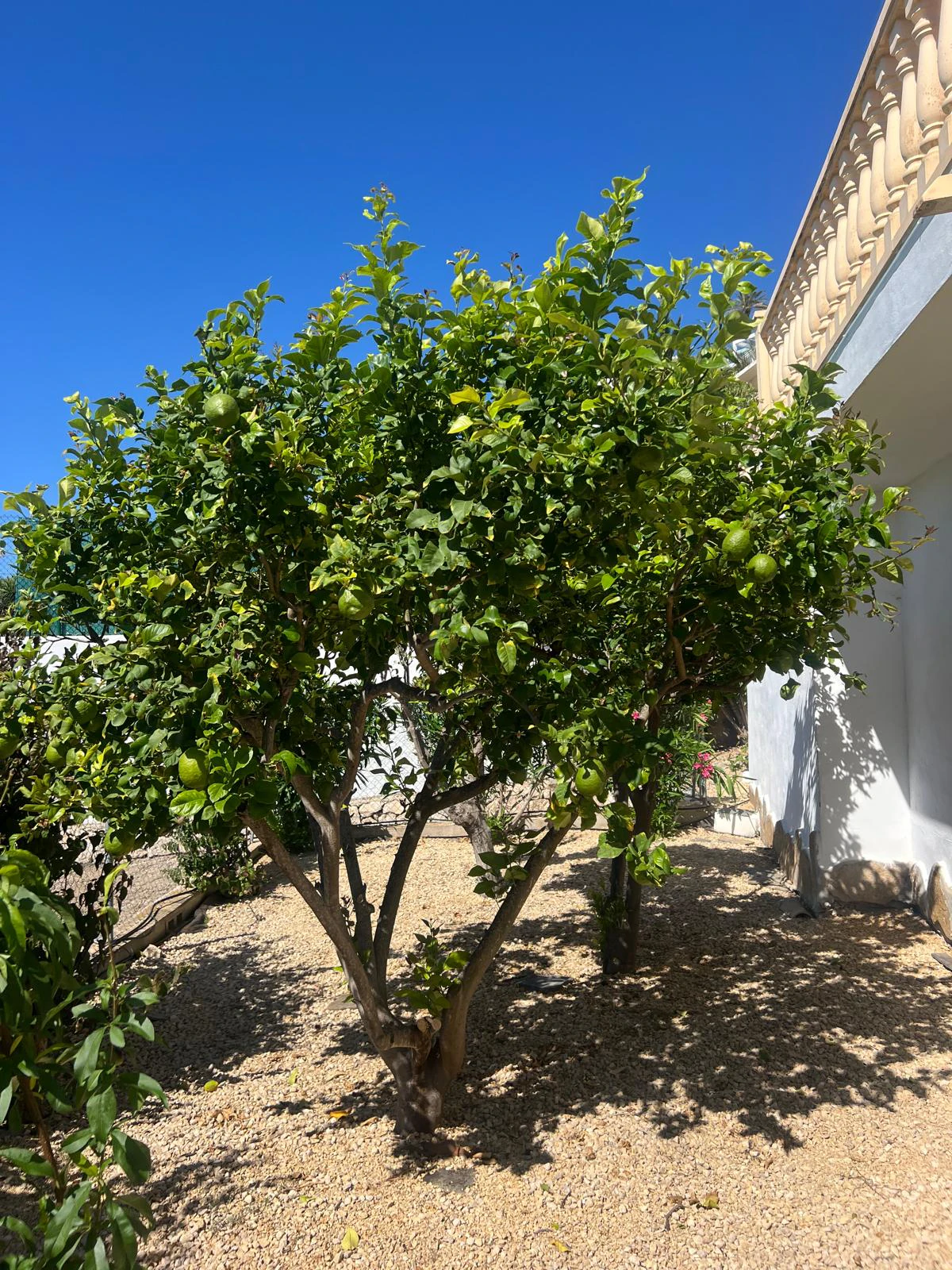 Villa for sale in Moraira