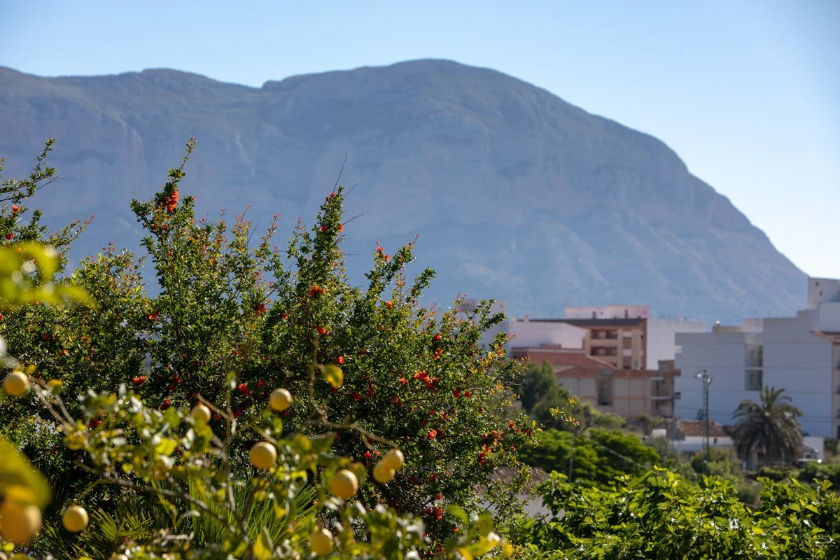 Finca zum verkauf in Gata De Gorgos