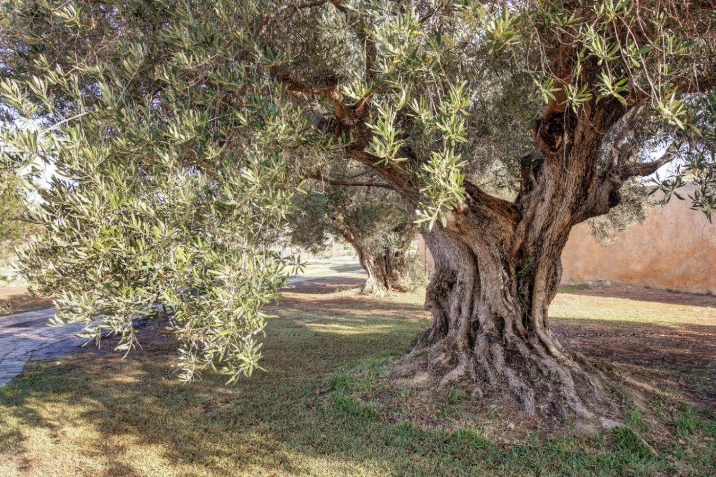 Einzigartige Finca an der besten Lage von Moraira.