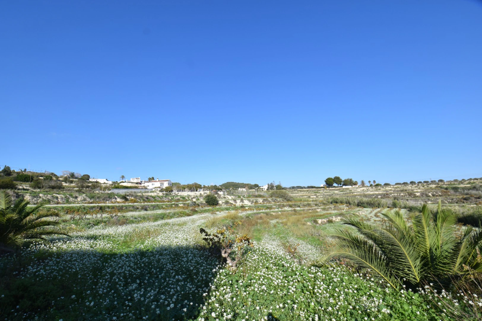 Rustiek land te koop in Teulada